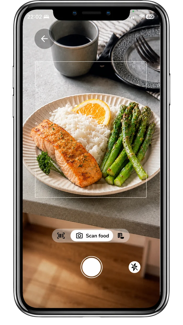 MacroTracker's scan food camera view of a plate of grilled salmon, rice, and asparagus